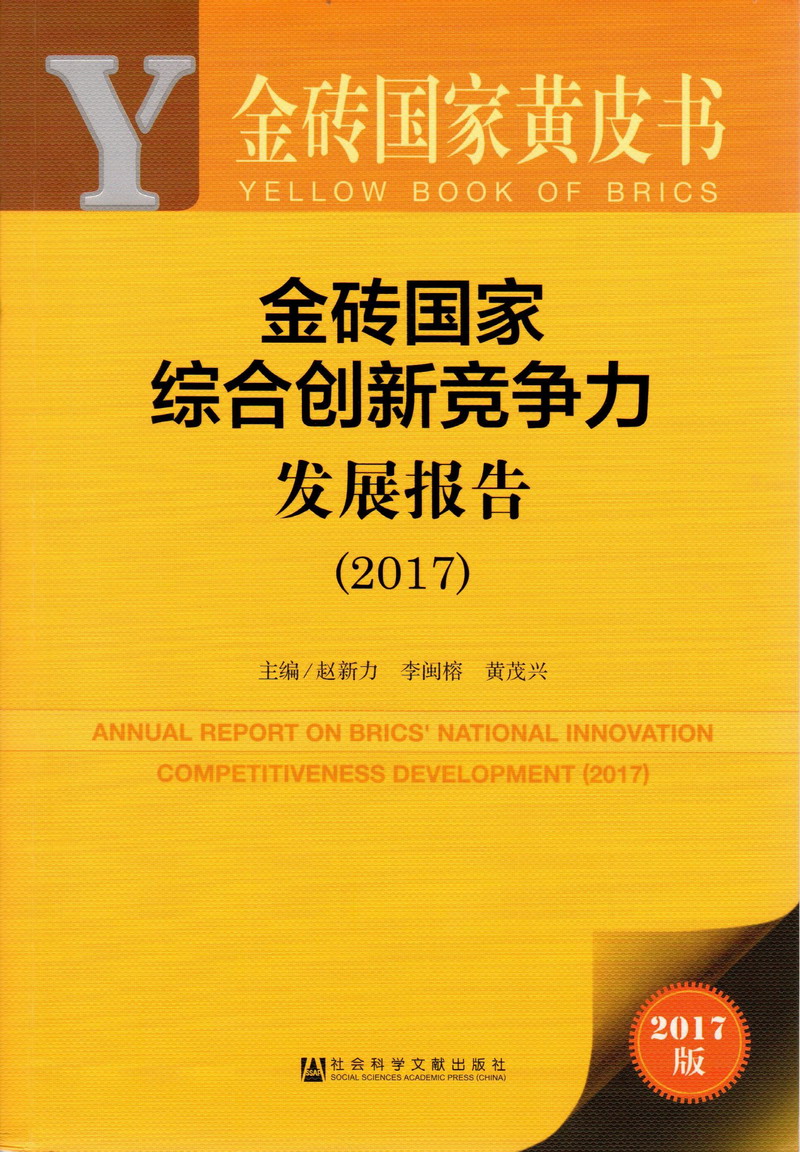 大鸡巴好湿好爽操我好舒服高清免费视频金砖国家综合创新竞争力发展报告（2017）